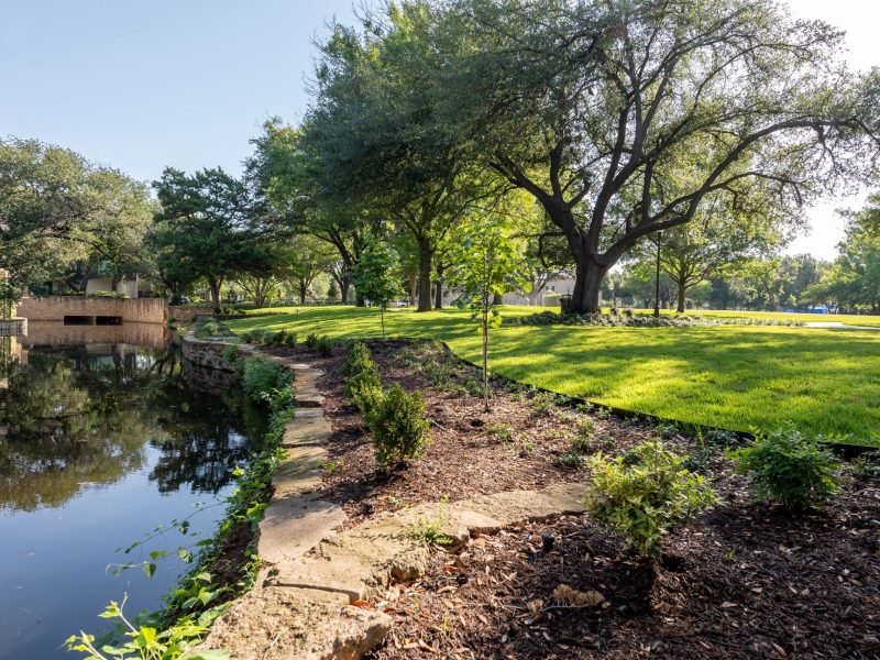 Curtis Park’s Tree Disease Experts: Diagnosis & Treatment
