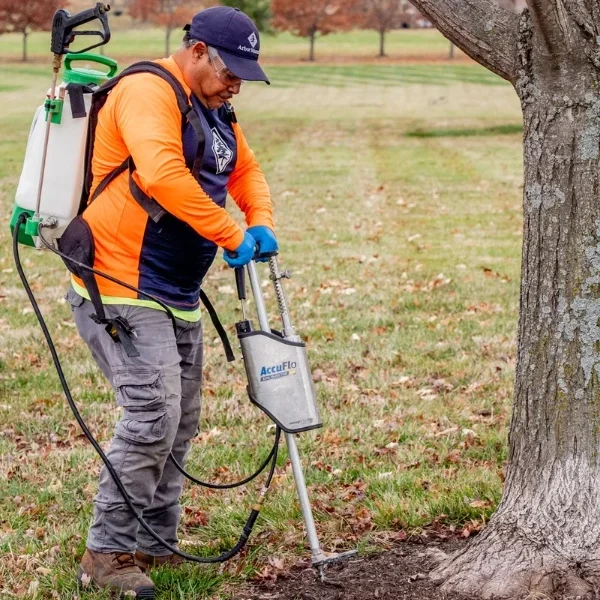 Disease Diagnosis & Protection for Your Land Park Trees