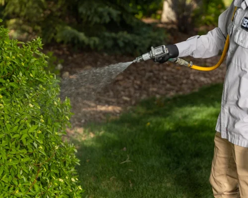 Disease Diagnosis & Lasting Protection in Riverside