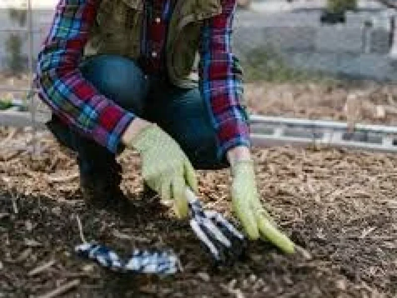 Tree Disease Diagnosis & Protection in Oroville