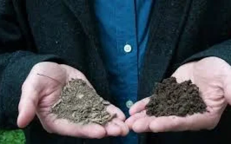 Disease Diagnosis & Lasting Protection in Riverside